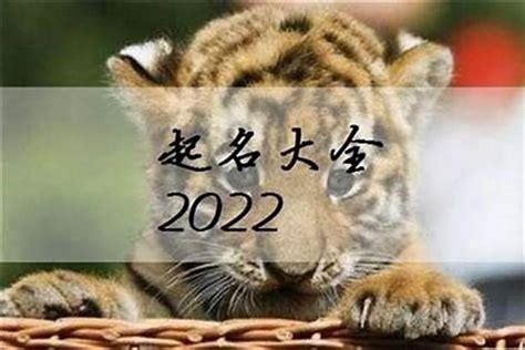 2023 虎